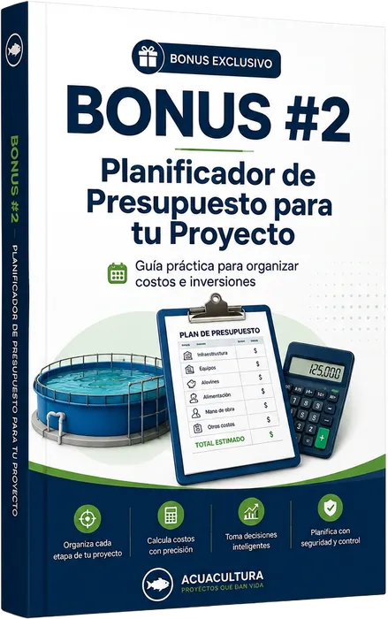PLANIFICADOR DE PRESUPUESTO PARA TU PROYECTO